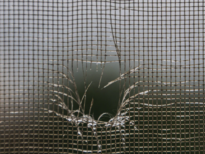 Torn screen panel flapping loose at the corner of a lanai frame