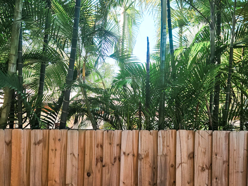 Screened pool enclosure on a Palm Bay home with palms along the fence line